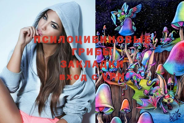 экстази Алексин