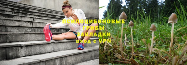 экстази Алексин