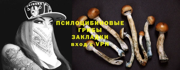 кокаин премиум Алексеевка